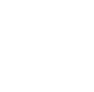 Highest cGMP quality icon
